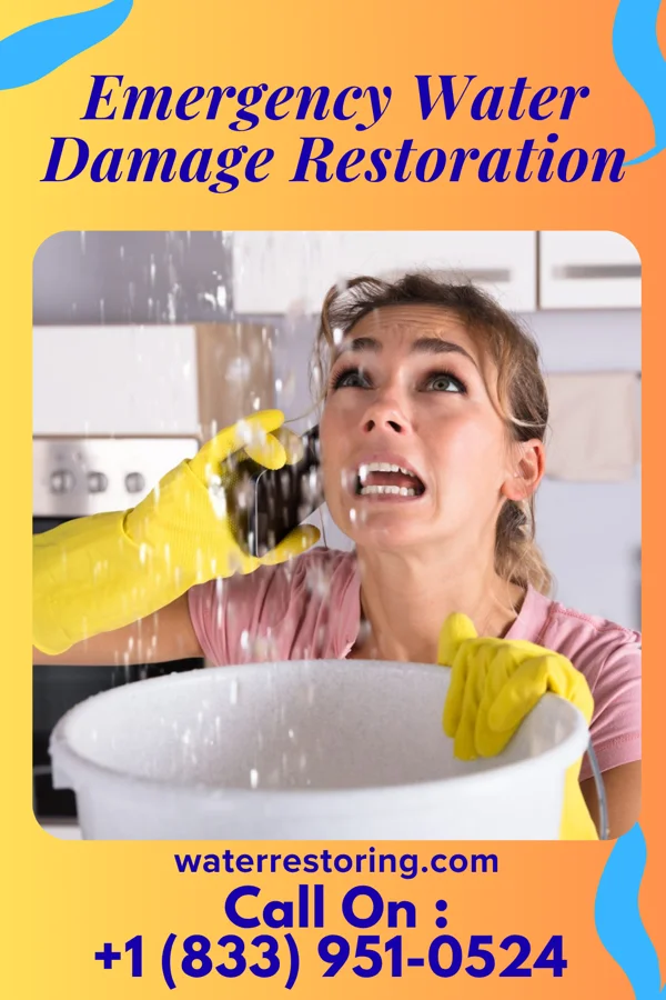Emergency Water Damage Restoration in Landover, MD