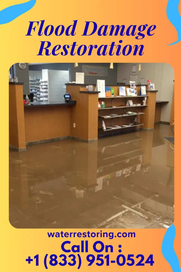 Flood Damage Restoration in Landover, MD