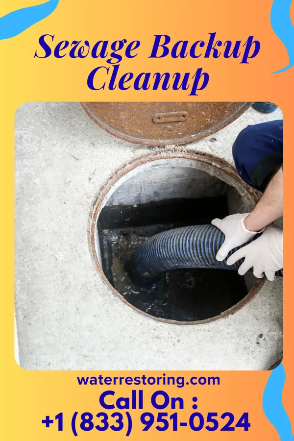 Sewage Backup Cleanup in Landover, MD