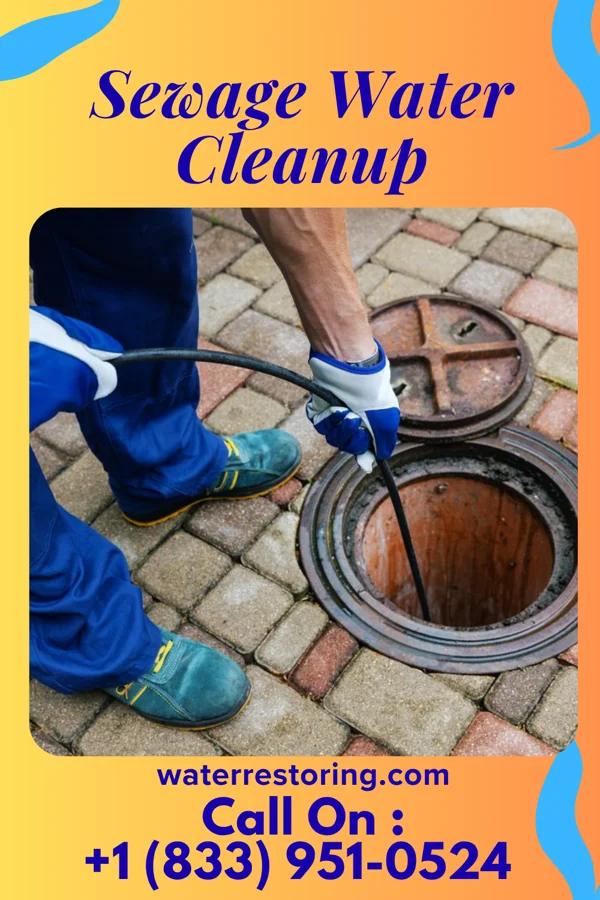 Sewage Water Cleanup in Landover, MD