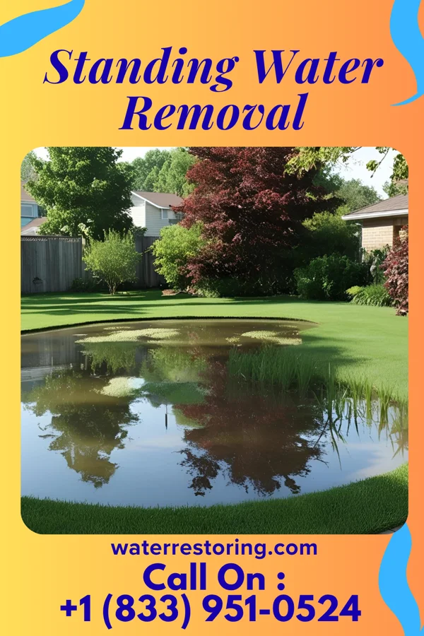Standing Water Removal in Landover, MD